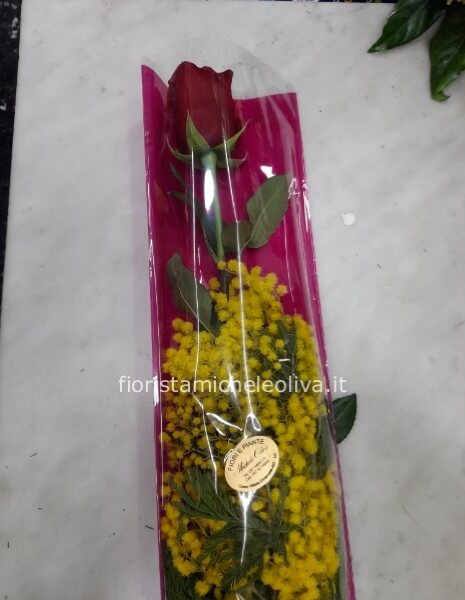 Rosa rossa con mimosa